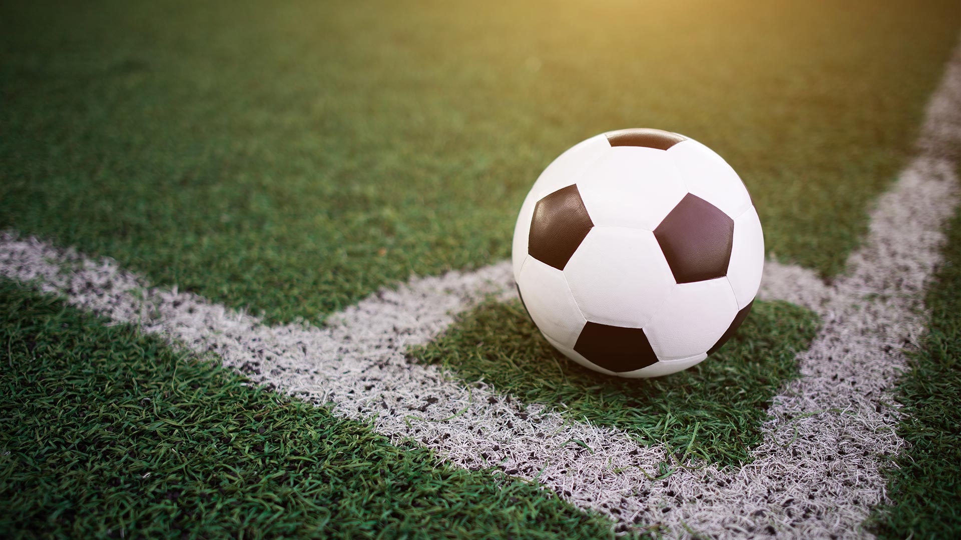 Soccer player action on the stadium